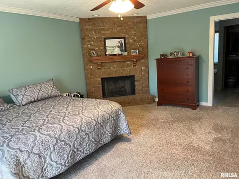 3209 Bowwood Dr, Springfield, IL 62712 photo 18