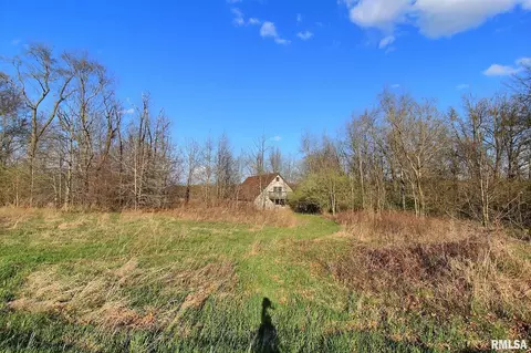 27307 E County Line Rd, Waggoner, IL 62572 photo 9