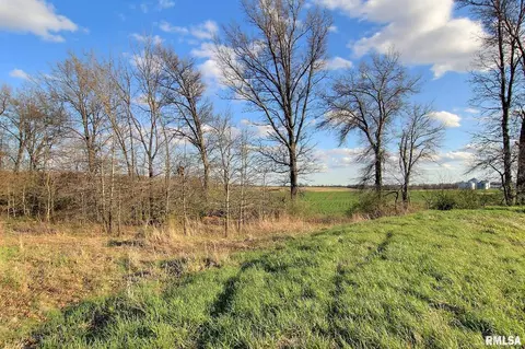 27307 E County Line Rd, Waggoner, IL 62572 photo 10