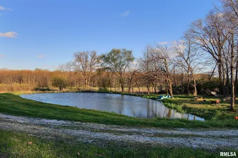 27307 E County Line Rd, Waggoner, IL 62572 photo 6