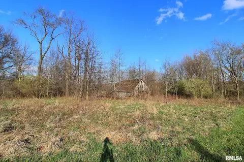 27307 E County Line Rd, Waggoner, IL 62572 photo 8