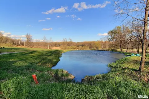 27307 E County Line Rd, Waggoner, IL 62572 photo 3