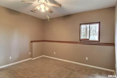 27307 E County Line Rd, Waggoner, IL 62572 photo 18