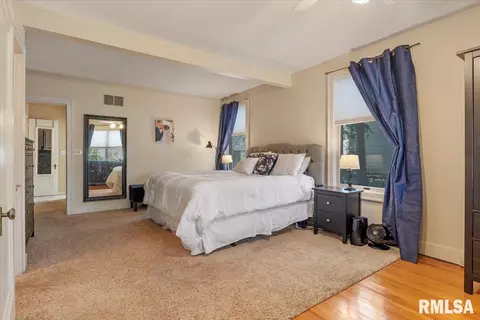 1130 W Vine St, Springfield, IL 62704 photo 29