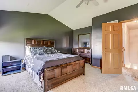 401 Eagle Ridge Dr, Chatham, IL 62629 photo 19