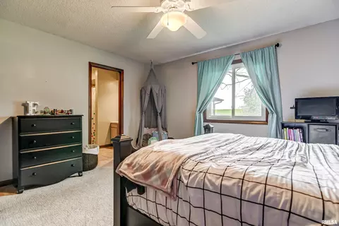 45 Red Fox Ct, Springfield, IL 62712 photo 27