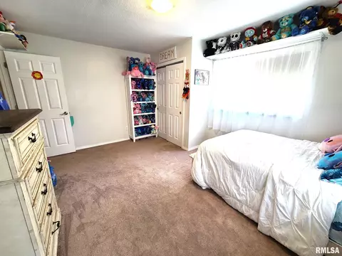 9 Westview Dr, Franklin, IL 62638 photo 19