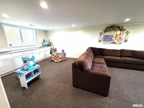 9 Westview Dr, Franklin, IL 62638 photo 26
