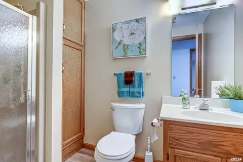 3605 Bounty Cir, Springfield, IL 62711 photo 42