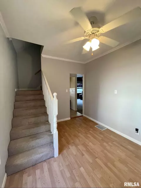 523 E Ridgely Ave, Springfield, IL 62702 photo 14