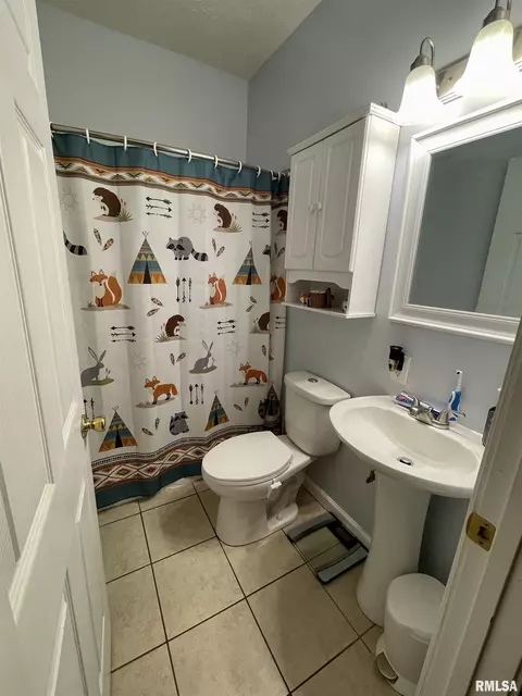 523 E Ridgely Ave, Springfield, IL 62702 photo 12