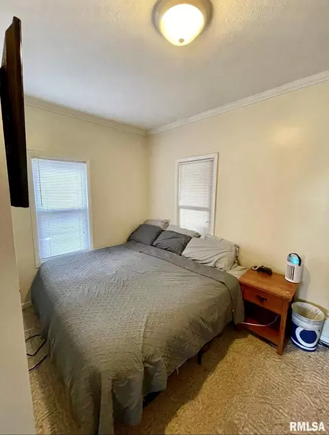 523 E Ridgely Ave, Springfield, IL 62702 photo 6