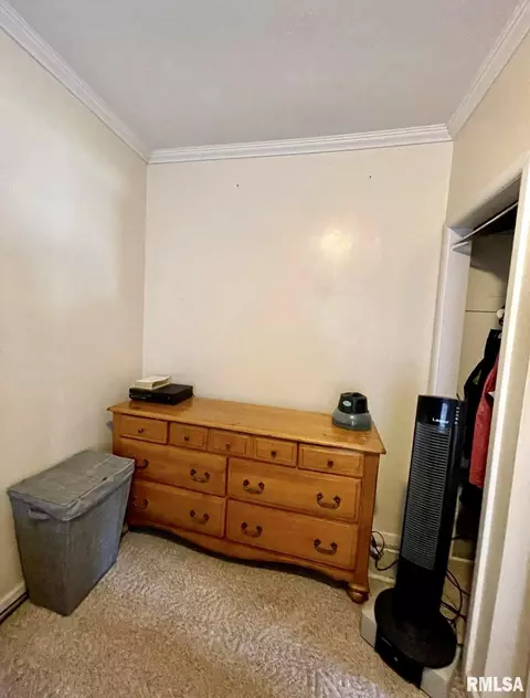 523 E Ridgely Ave, Springfield, IL 62702 photo 7
