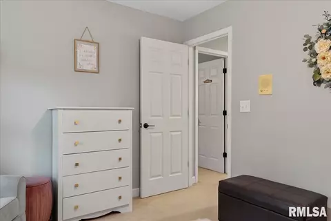 804 Wood Pointe Dr, Springfield, IL 62702 photo 38