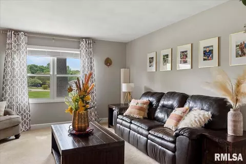 804 Wood Pointe Dr, Springfield, IL 62702 photo 9