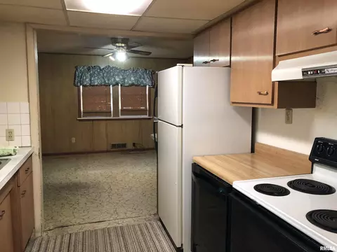 231 S Wheeler Ave, Springfield, IL 62703 photo 5