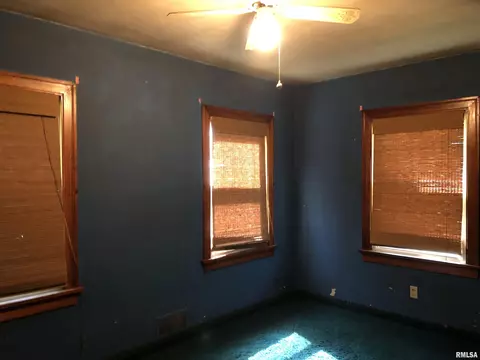231 S Wheeler Ave, Springfield, IL 62703 photo 10