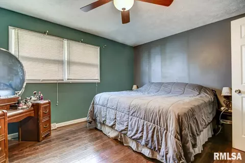 920 N 3rd St, Riverton, IL 62561 photo 22