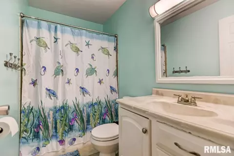 920 N 3rd St, Riverton, IL 62561 photo 26