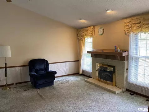 104 Mccarthy Dr, Springfield, IL 62702 photo 3