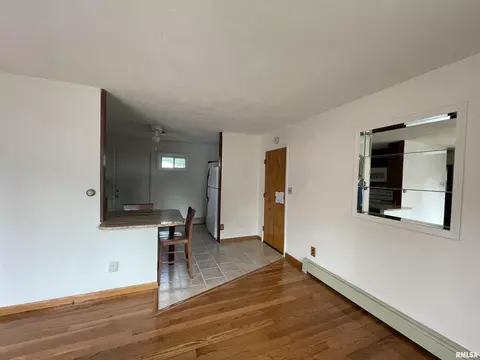 43 Lilac Ln, Springfield, IL 62702 photo 10