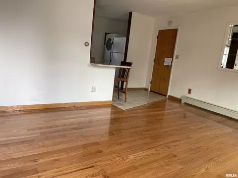 43 Lilac Ln, Springfield, IL 62702 photo 4