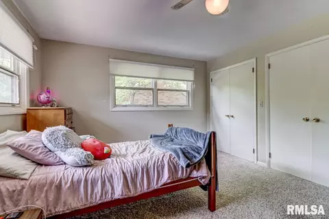 935 Roanoke Dr, Springfield, IL 62702 photo 44