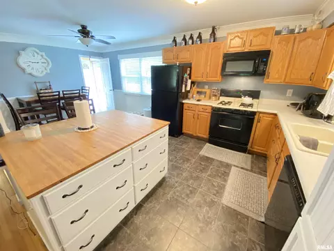 16 Archer Ave, Springfield, IL 62704 photo 7