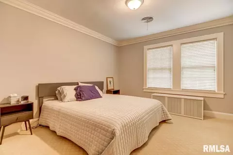 2002 Wiggins Ave, Springfield, IL 62704 photo 49