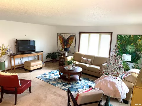 3313 Branchwood Dr, Springfield, IL 62704 photo 7