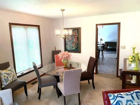3313 Branchwood Dr, Springfield, IL 62704 photo 9