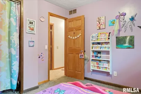 200 Hawkeye Way, Springfield, IL 62707 photo 11