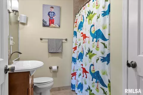 112 Maple Grv, Springfield, IL 62712 photo 35