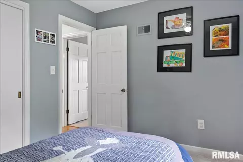 112 Maple Grv, Springfield, IL 62712 photo 37