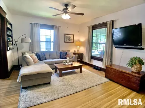 305 S Douglas Ave, Springfield, IL 62704 photo 13