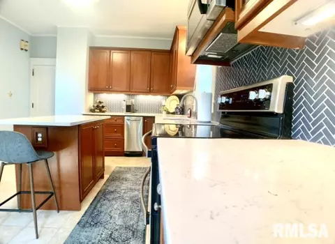 305 S Douglas Ave, Springfield, IL 62704 photo 9