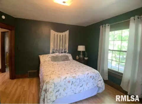 305 S Douglas Ave, Springfield, IL 62704 photo 22