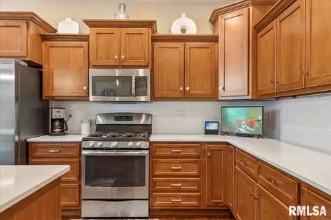 2805 Buckskin Trl, Springfield, IL 62711 photo 17