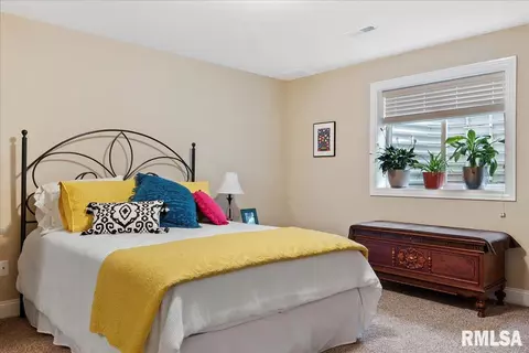 2805 Buckskin Trl, Springfield, IL 62711 photo 47