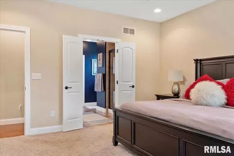 2805 Buckskin Trl, Springfield, IL 62711 photo 31