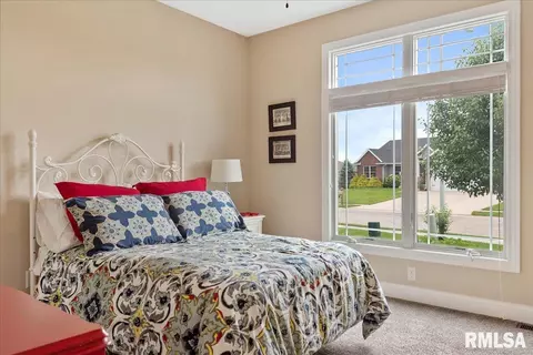 2805 Buckskin Trl, Springfield, IL 62711 photo 39
