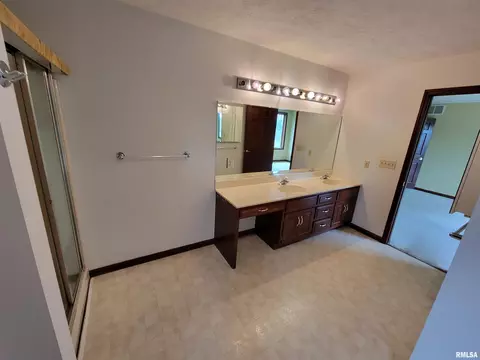 2413 Heather Mill Ct, Springfield, IL 62704 photo 28