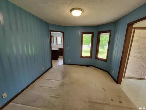 2413 Heather Mill Ct, Springfield, IL 62704 photo 14
