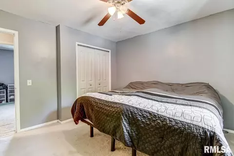 118 E Hawkeye Way, Springfield, IL 62707 photo 17