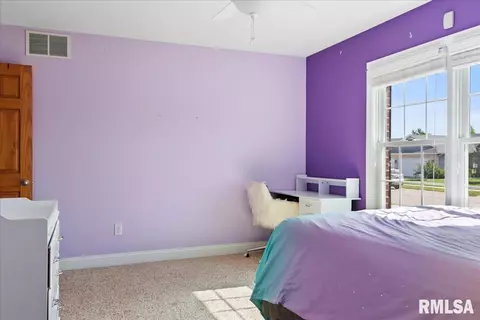 603 Willows Ave, Chatham, IL 62629 photo 30