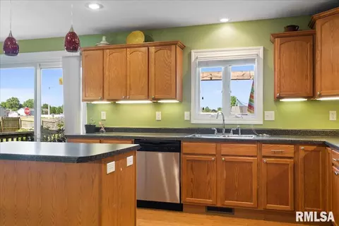 603 Willows Ave, Chatham, IL 62629 photo 18