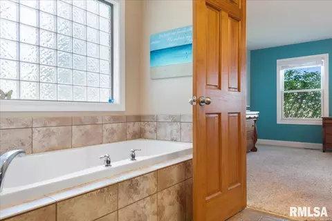 603 Willows Ave, Chatham, IL 62629 photo 27