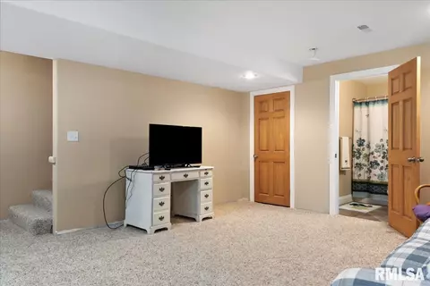 603 Willows Ave, Chatham, IL 62629 photo 35