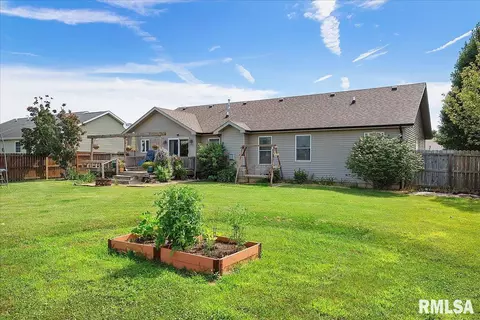 603 Willows Ave, Chatham, IL 62629 photo 41