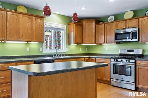 603 Willows Ave, Chatham, IL 62629 photo 17